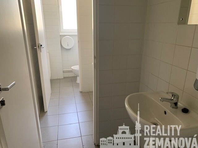 Pronájem komerčního prostoru 347 m² - foto 23