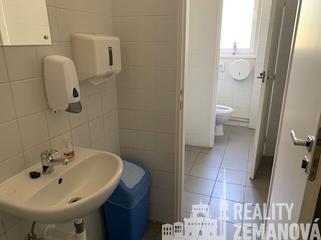 Pronájem komerčního prostoru 347 m² - foto 24