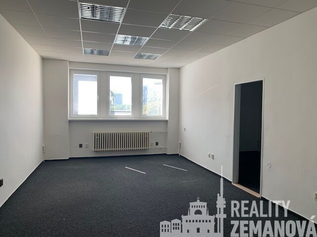Pronájem komerčního prostoru 347 m² - foto 26