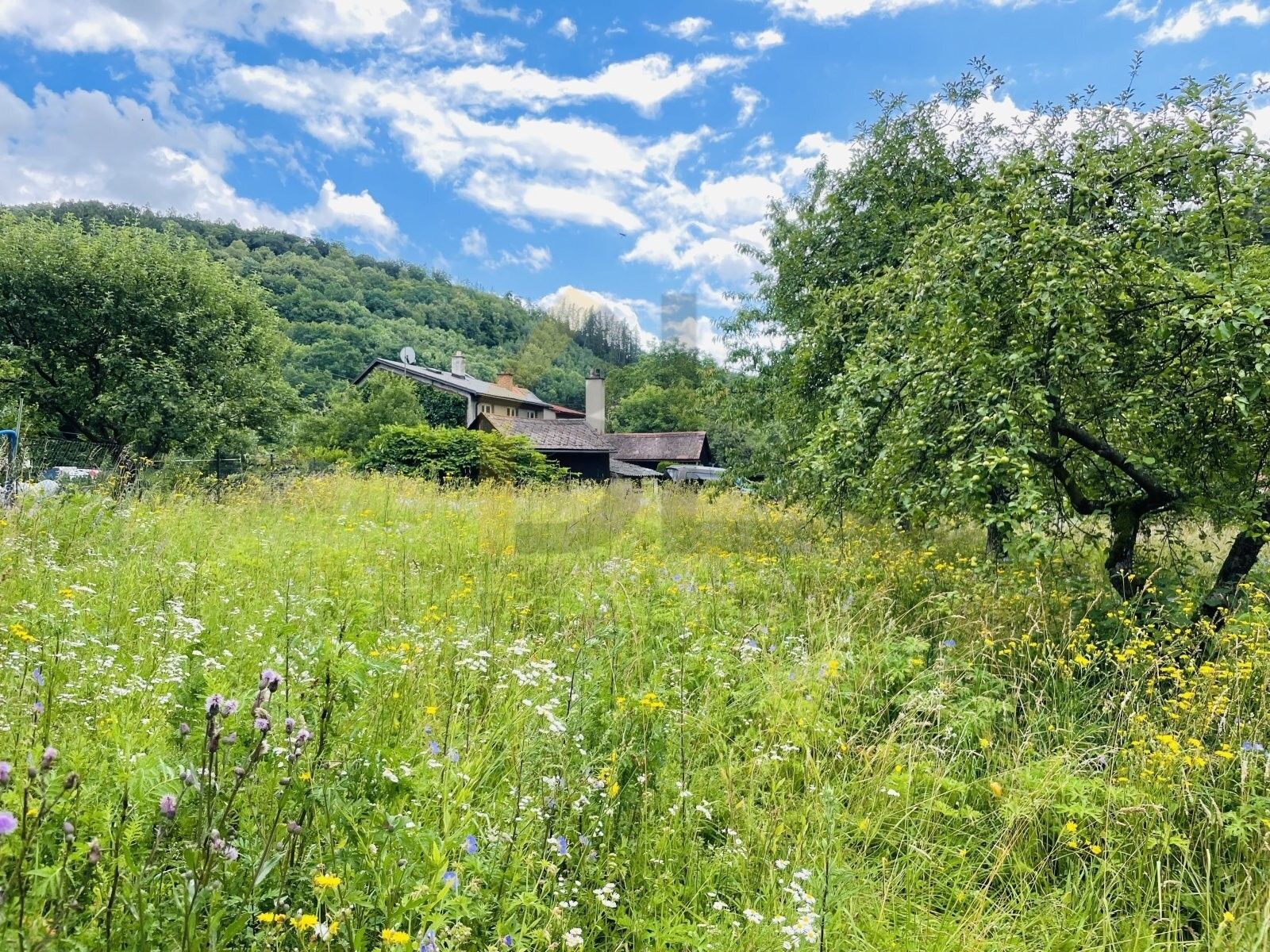 Prodej pozemku 4532 m² - foto 9