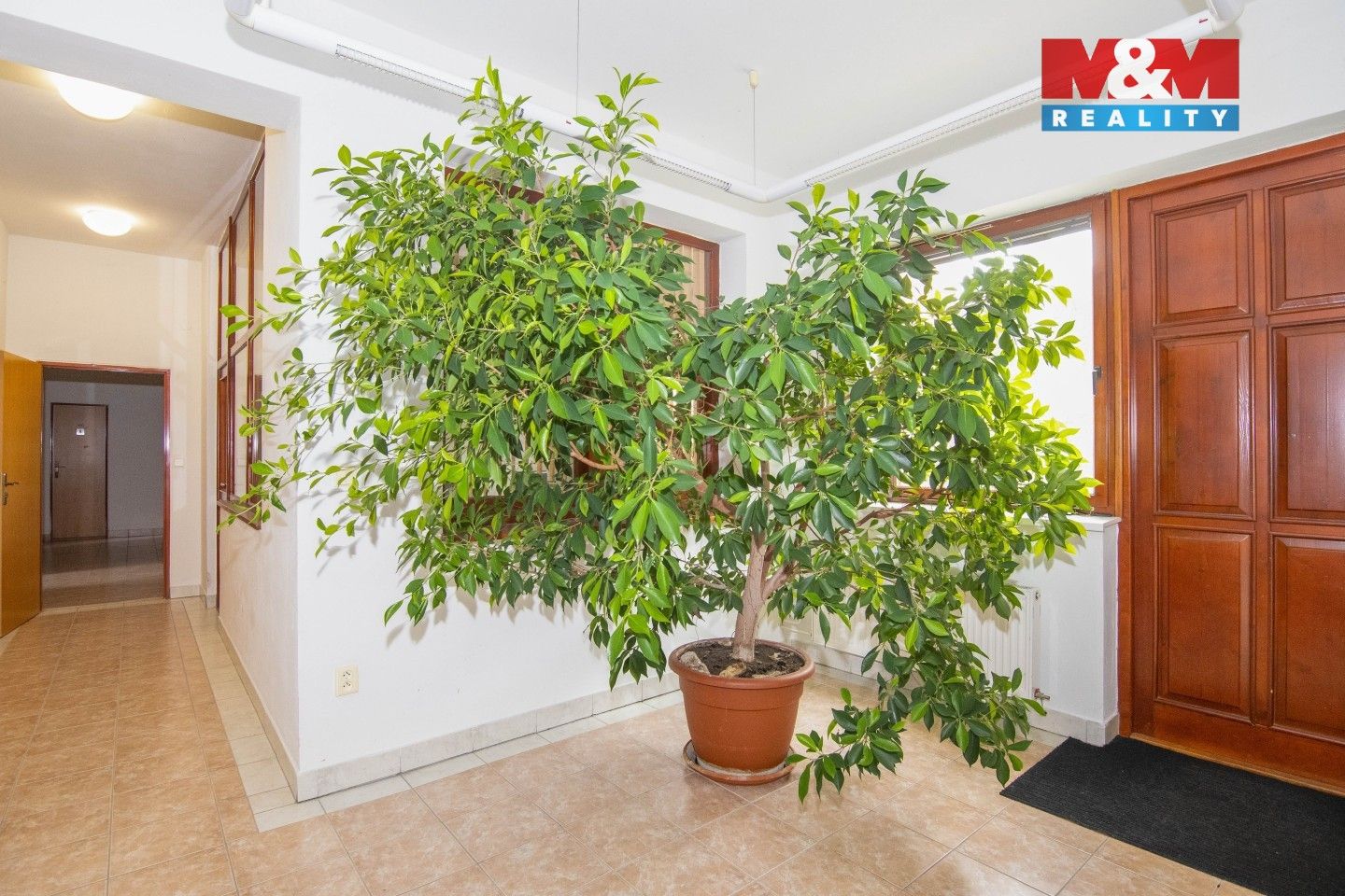 Prodej komerčního prostoru 470 m² - foto 25