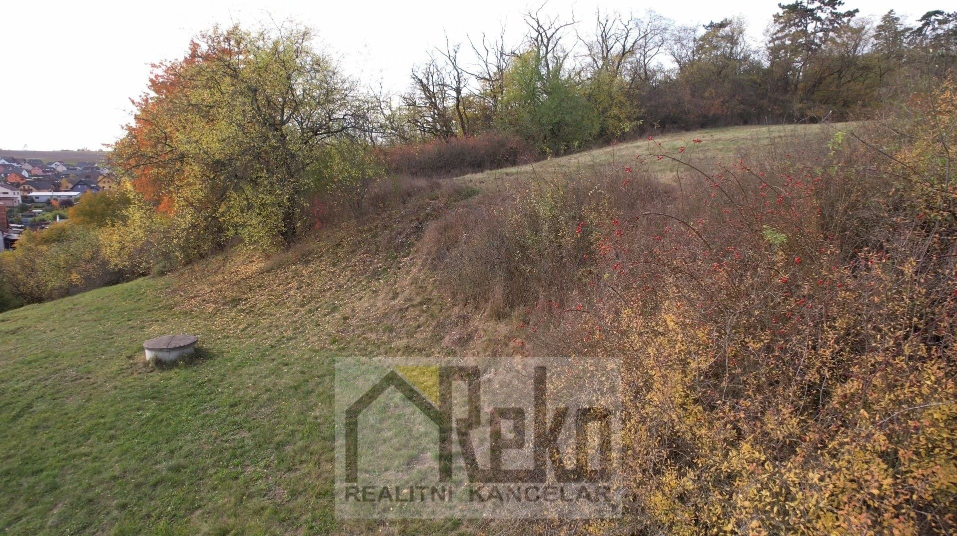 Prodej pozemku 1689 m² - foto 7