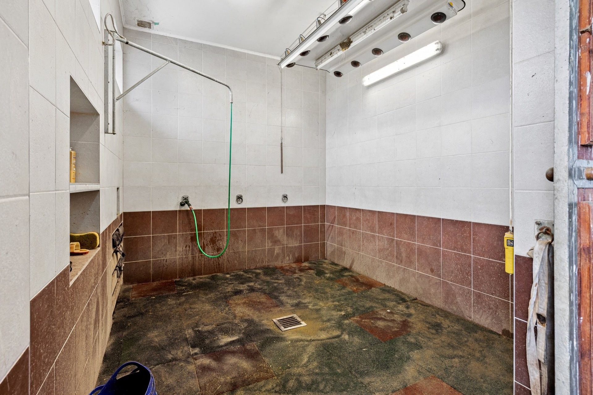 Prodej nemovitosti 1241 m² - foto 8