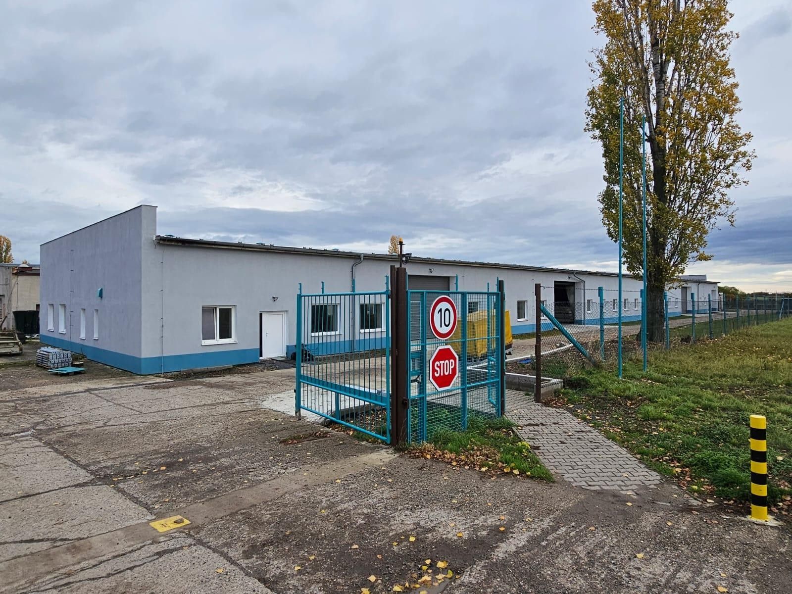 Pronájem komerčního prostoru 500 m² - foto 1