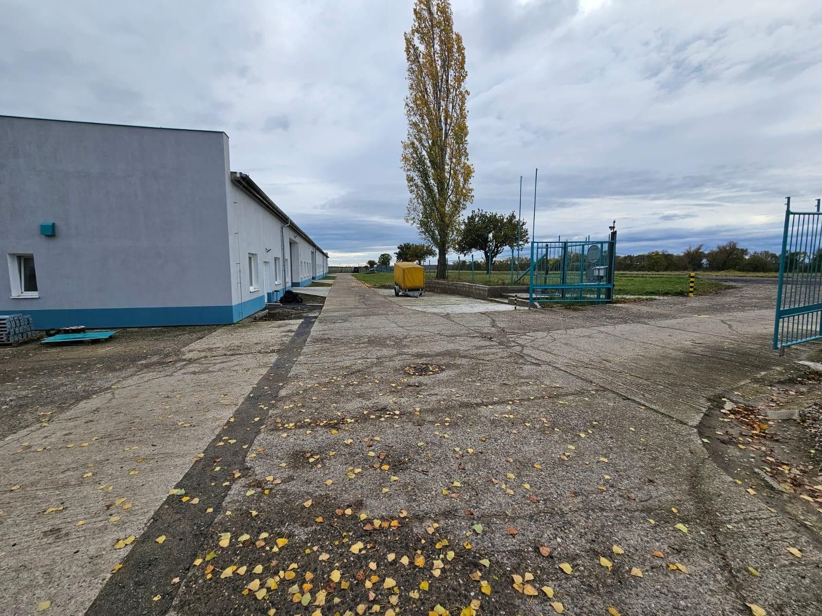 Pronájem komerčního prostoru 500 m² - foto 13