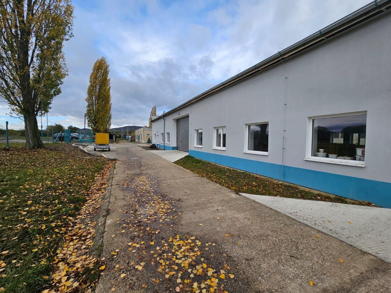 Pronájem komerčního prostoru 500 m² - foto 12
