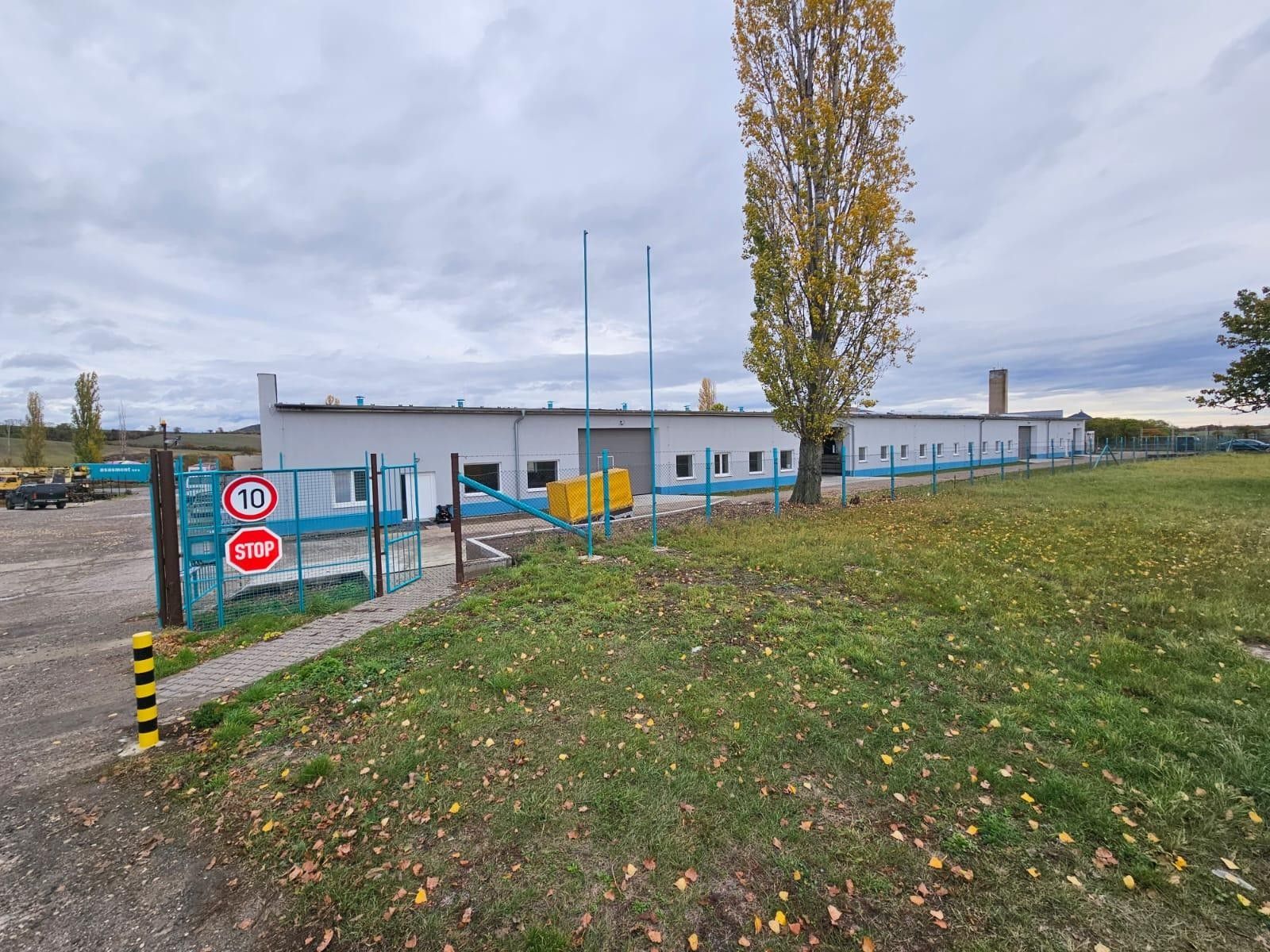 Pronájem komerčního prostoru 500 m² - foto 16