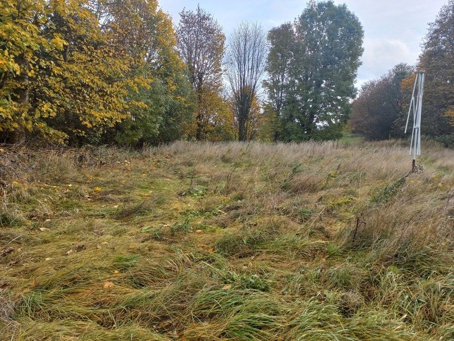 Prodej pozemku 890 m² - foto 3
