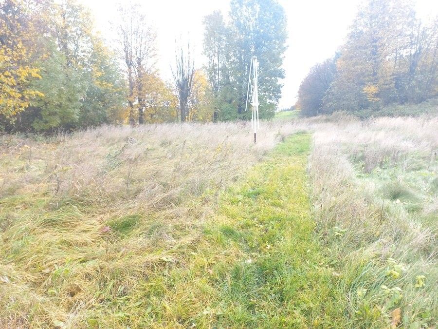 Prodej pozemku 890 m² - foto 6