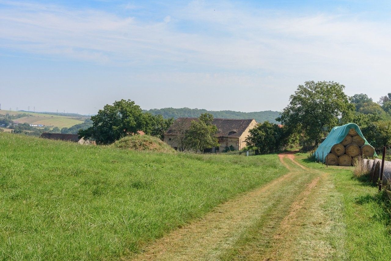 Prodej pozemku 14443 m² - foto 4