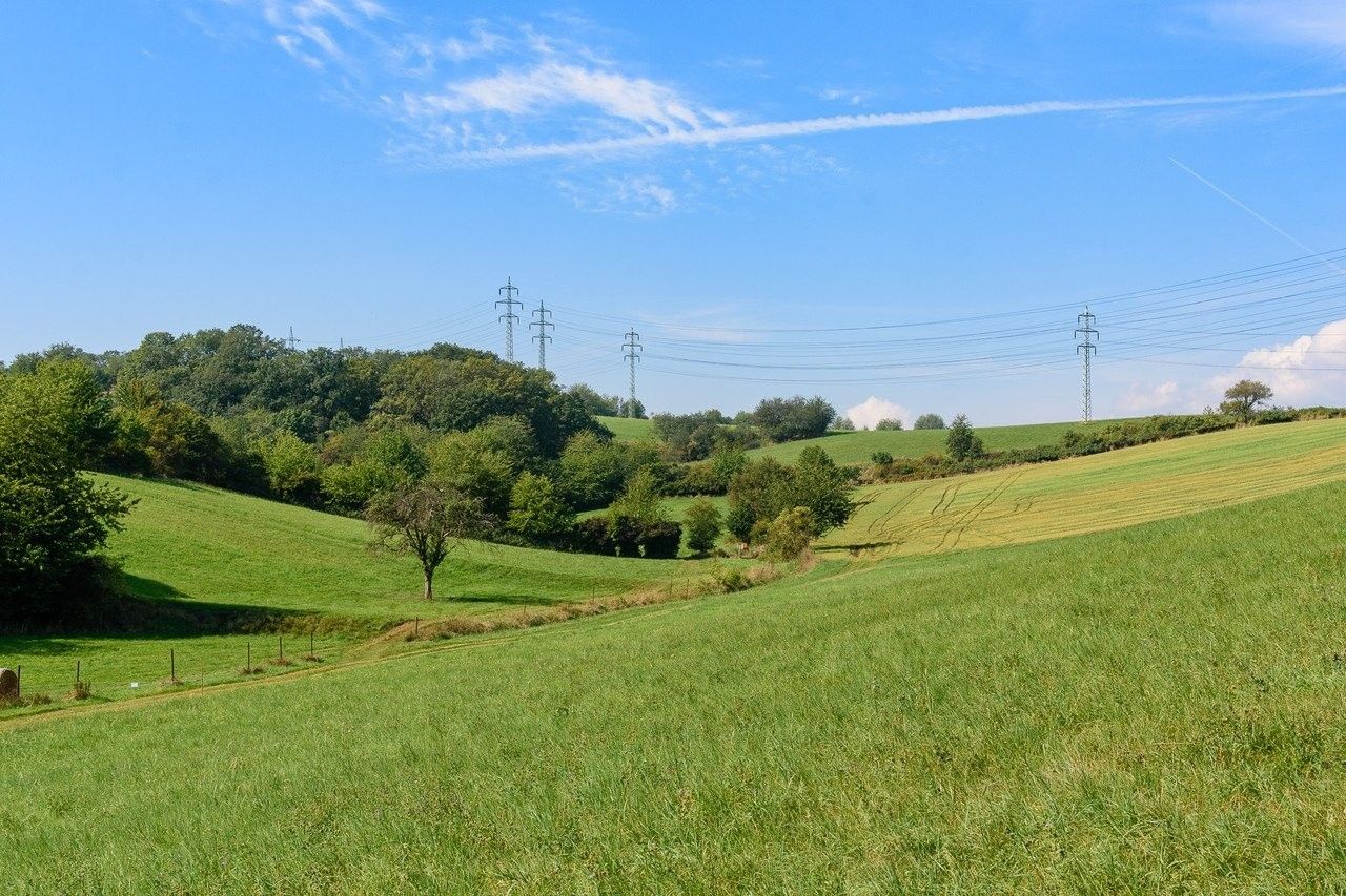 Prodej pozemku 14443 m² - foto 1