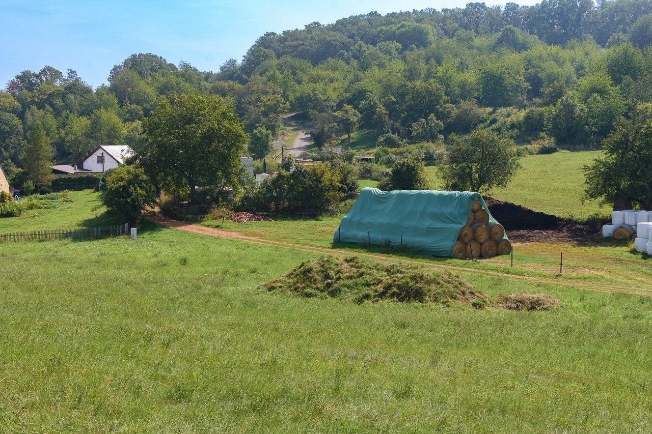 Prodej pozemku 14443 m² - foto 5