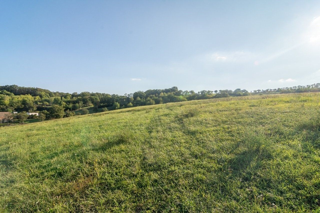 Prodej pozemku 14443 m² - foto 18