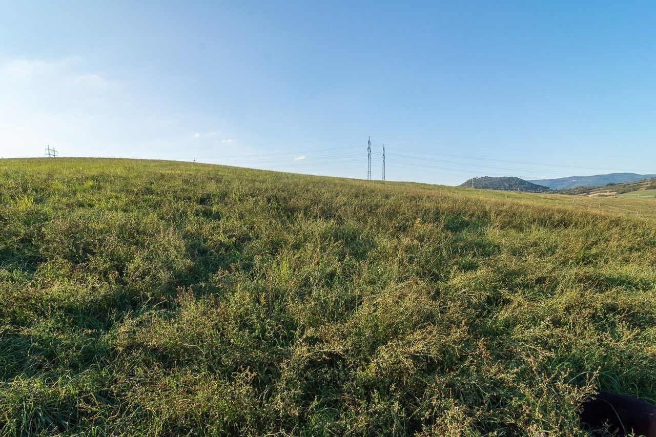 Prodej pozemku 14443 m² - foto 25