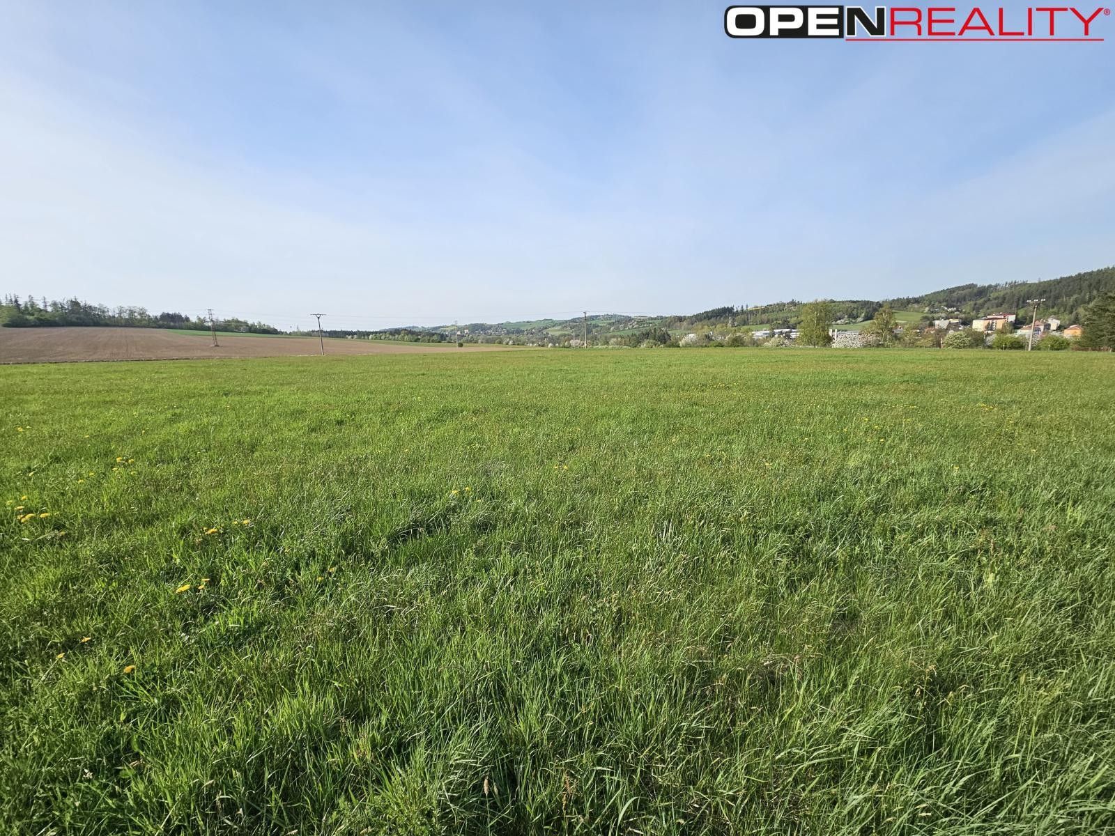 Prodej pozemku 2894 m² - foto 5