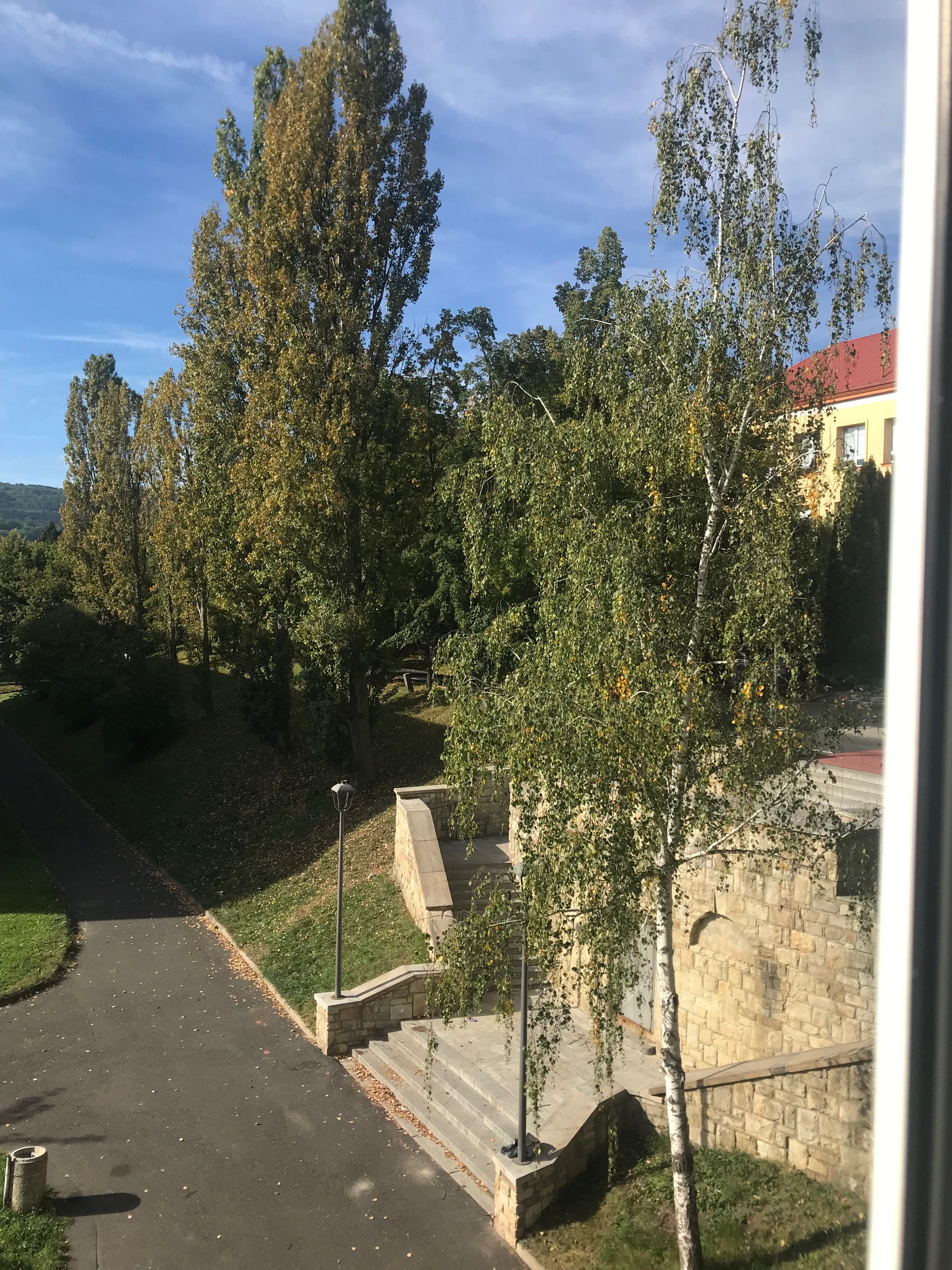 Prodej bytu 2+1 56 m² - foto 13