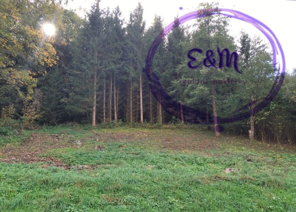 Prodej pozemku 1374 m² - foto 2