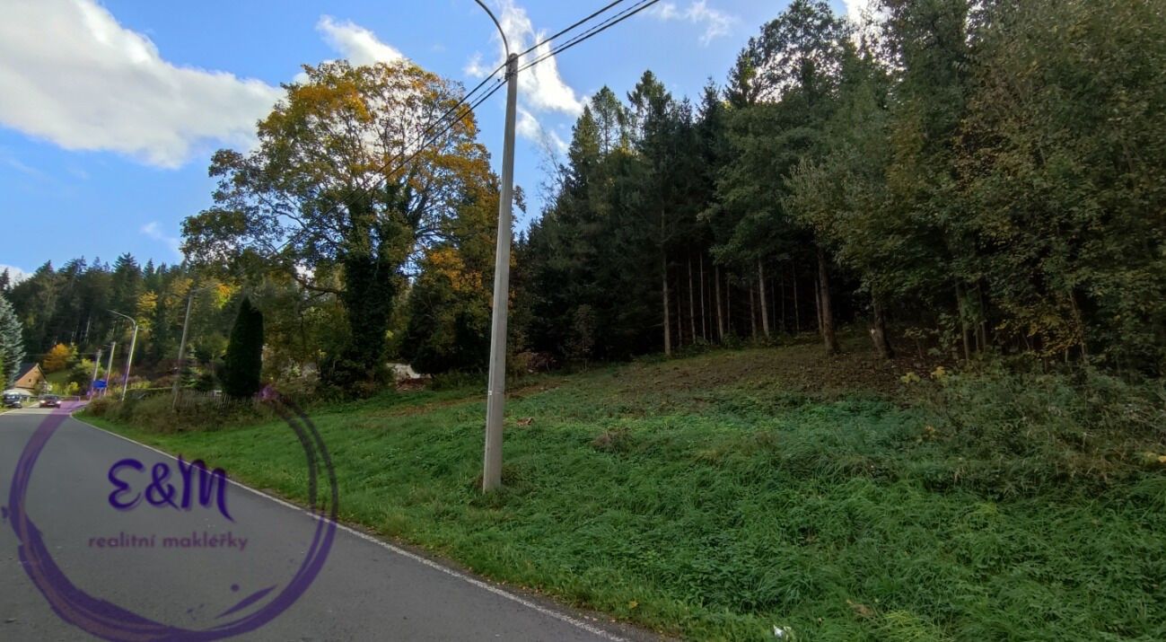 Prodej pozemku 1374 m² - foto 4