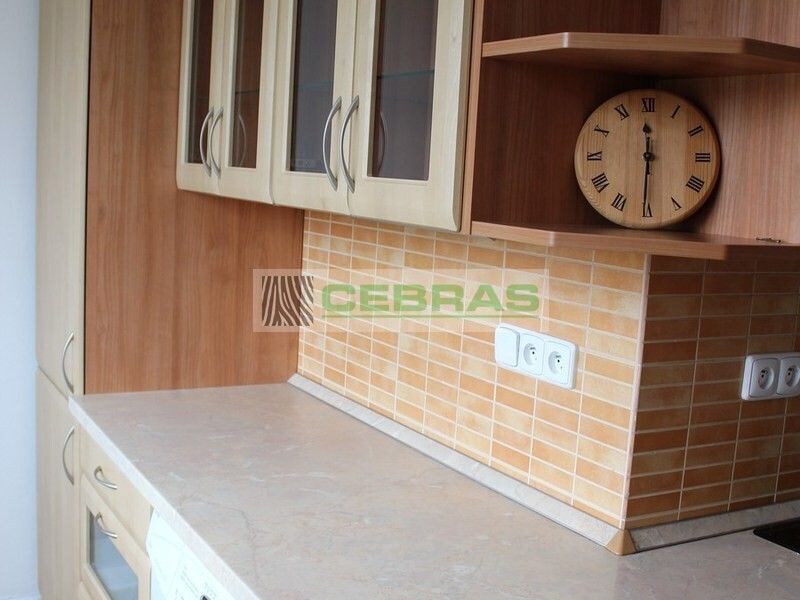 Pronájem bytu 2+1 55 m² - foto 4