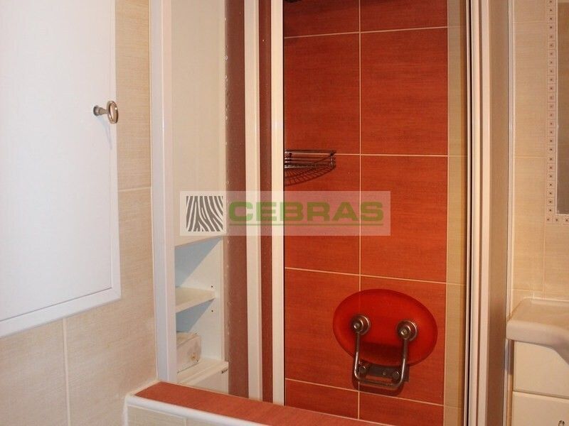 Pronájem bytu 2+1 55 m² - foto 7