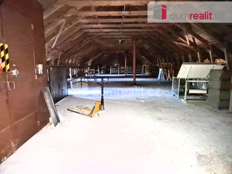 Pronájem komerčního prostoru 1500 m² - foto 9