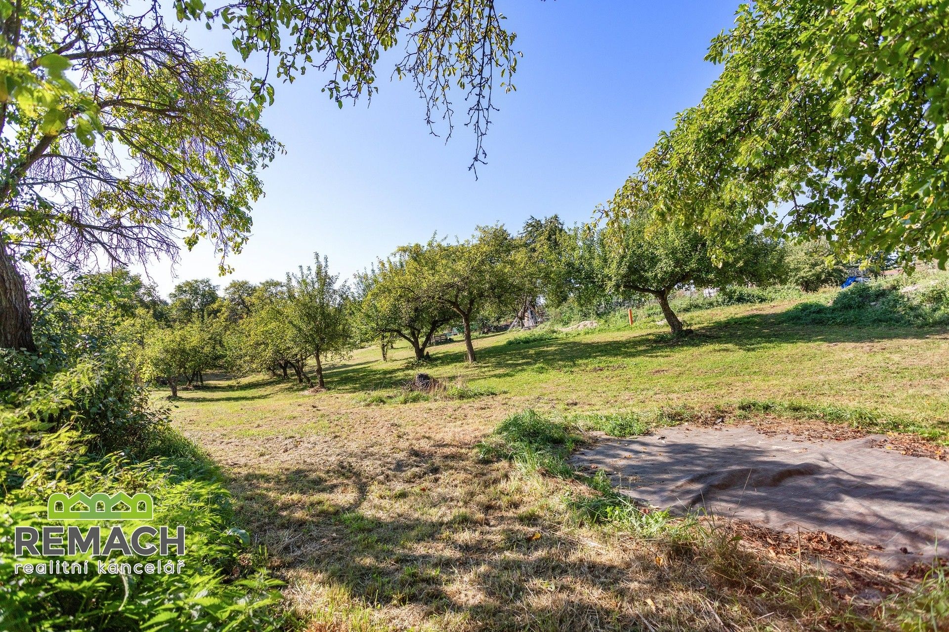 Prodej pozemku 3000 m² - foto 11