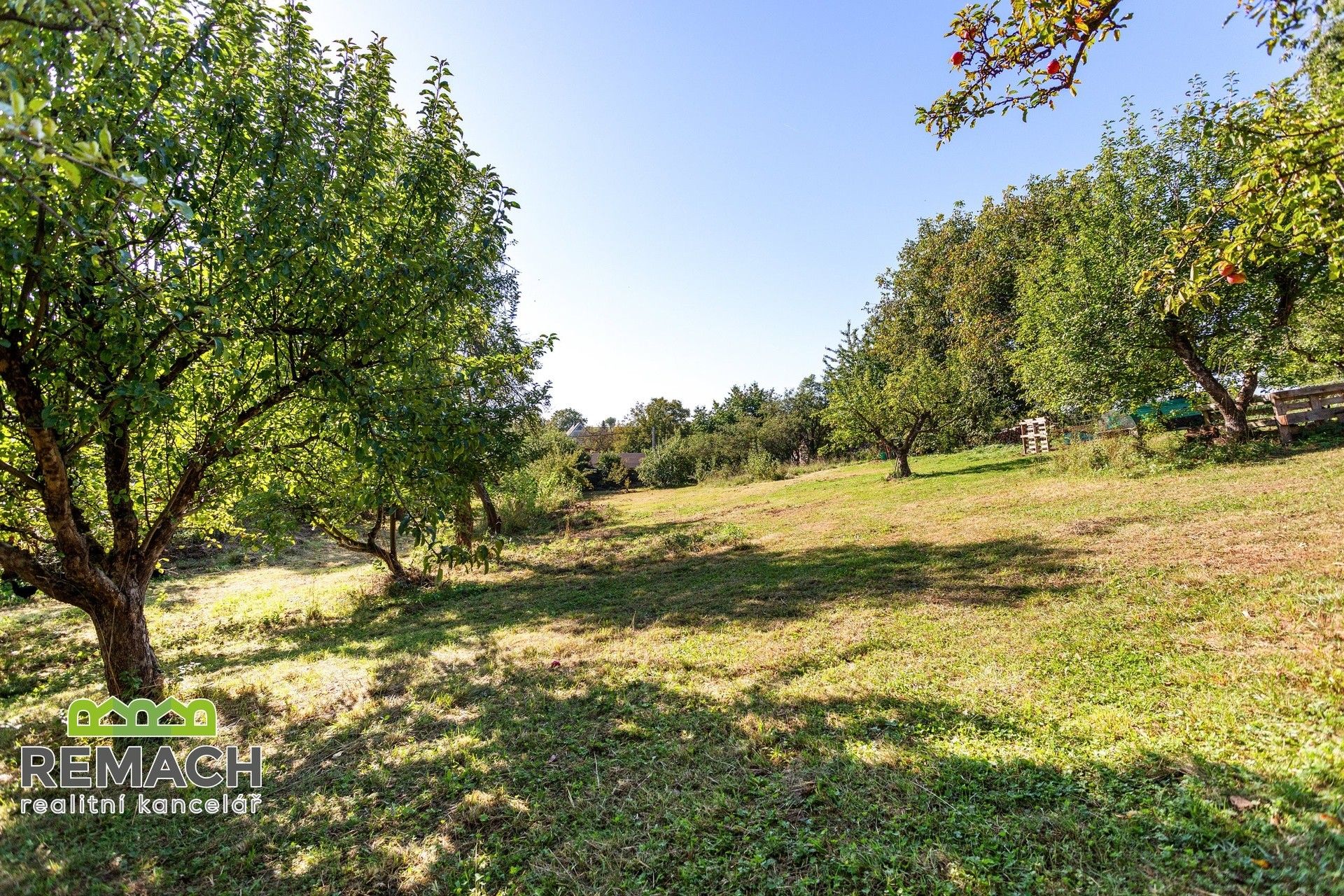 Prodej pozemku 3000 m² - foto 13