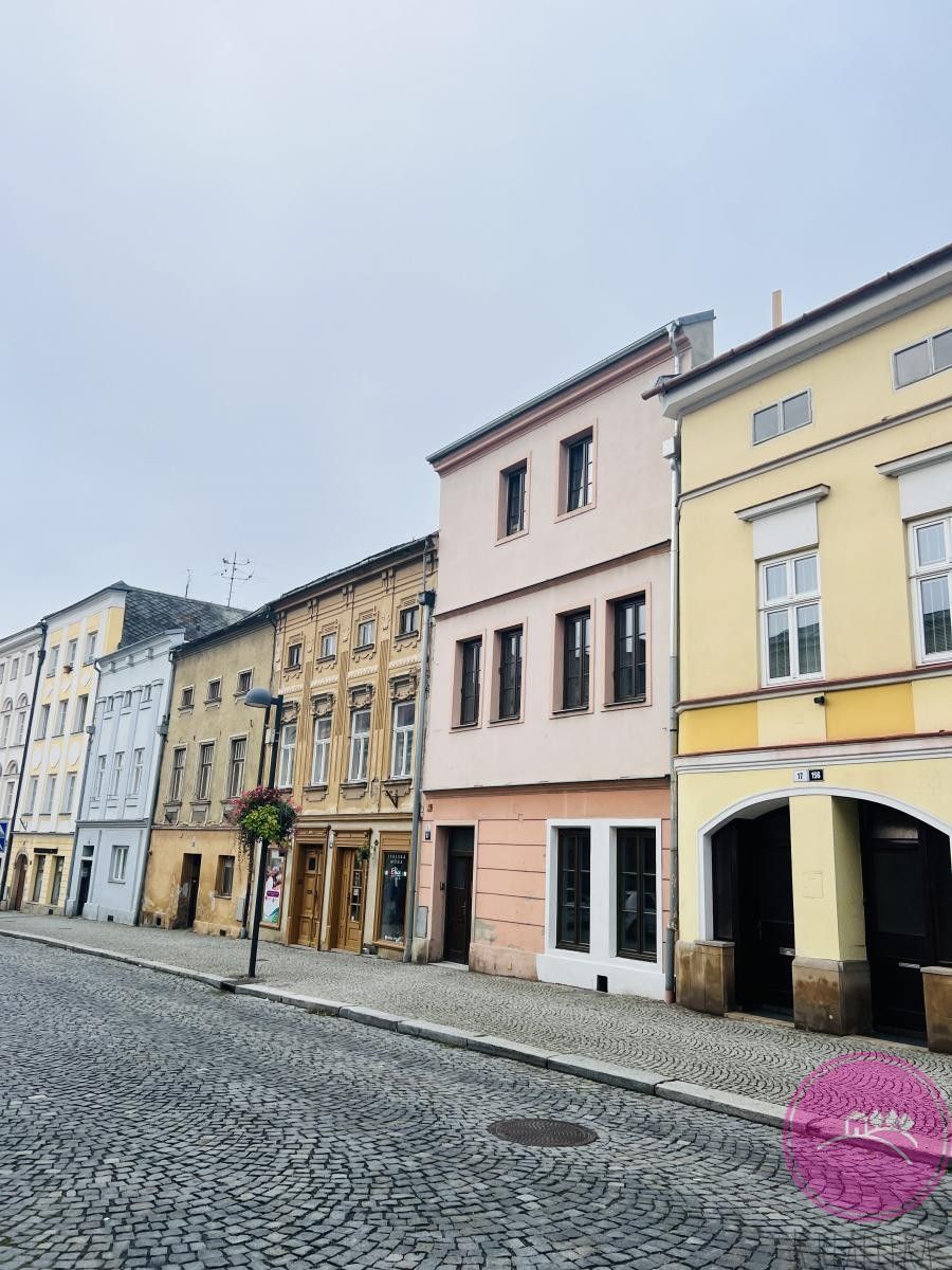 Pronájem bytu 2+1 55 m² - foto 9