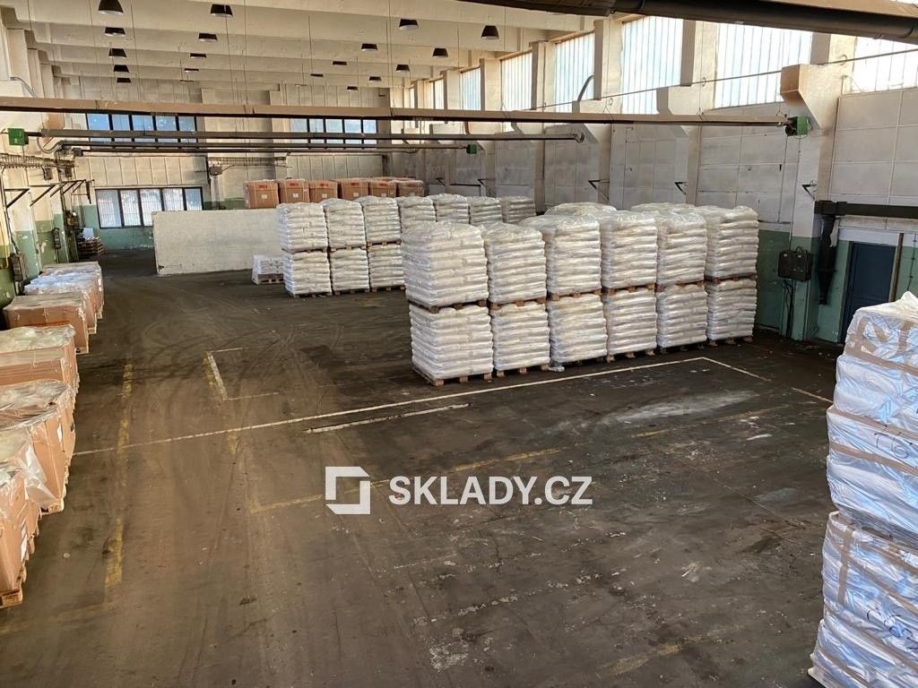 Pronájem komerčního prostoru 903 m² - foto 6