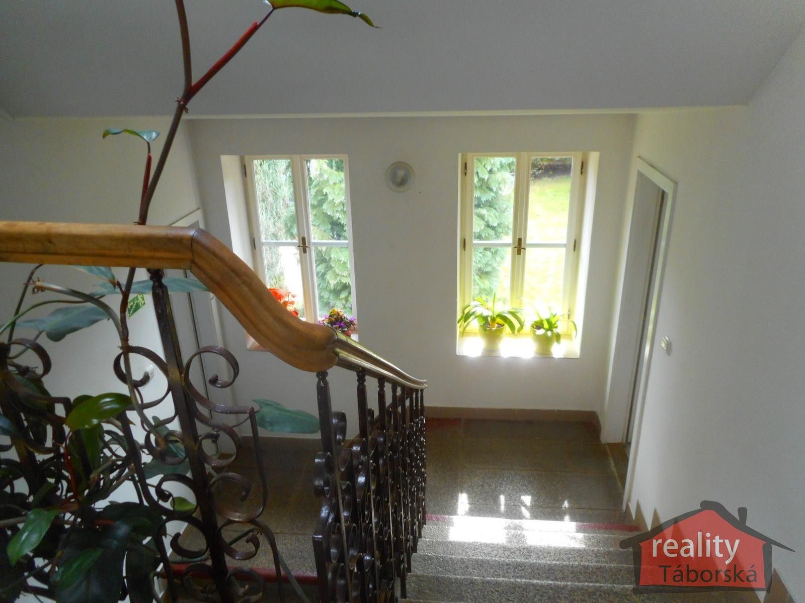 Pronájem nemovitosti 305 m² - foto 8