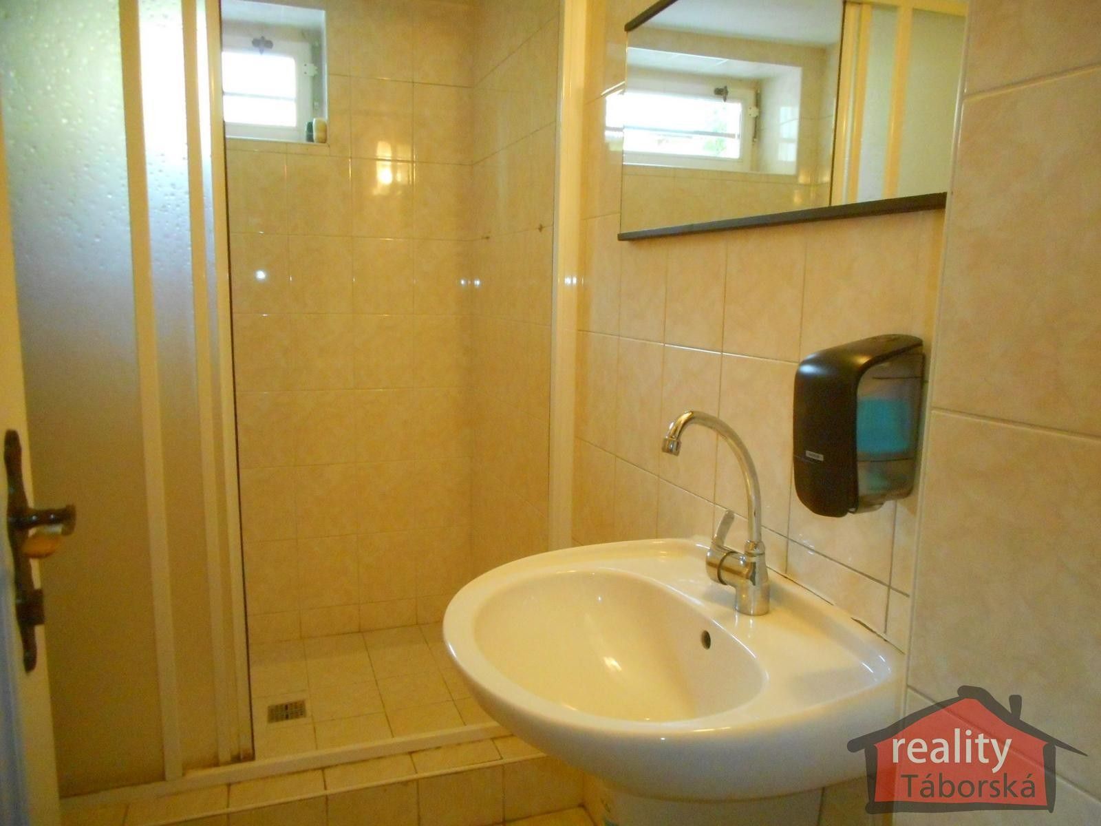 Pronájem nemovitosti 305 m² - foto 16
