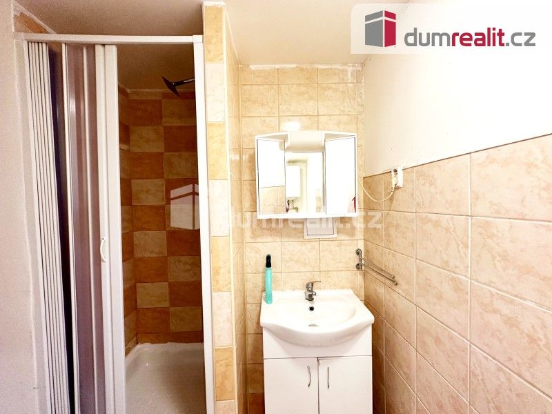 Pronájem bytu 2+1 60 m² - foto 3