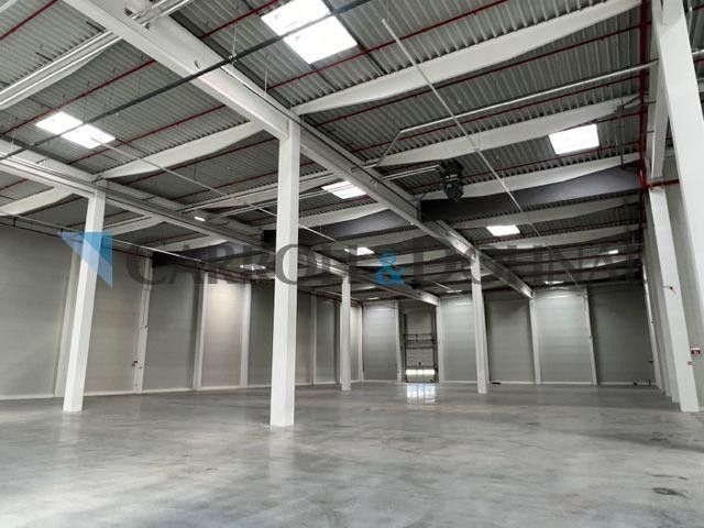Pronájem komerčního prostoru 15470 m² - foto 11