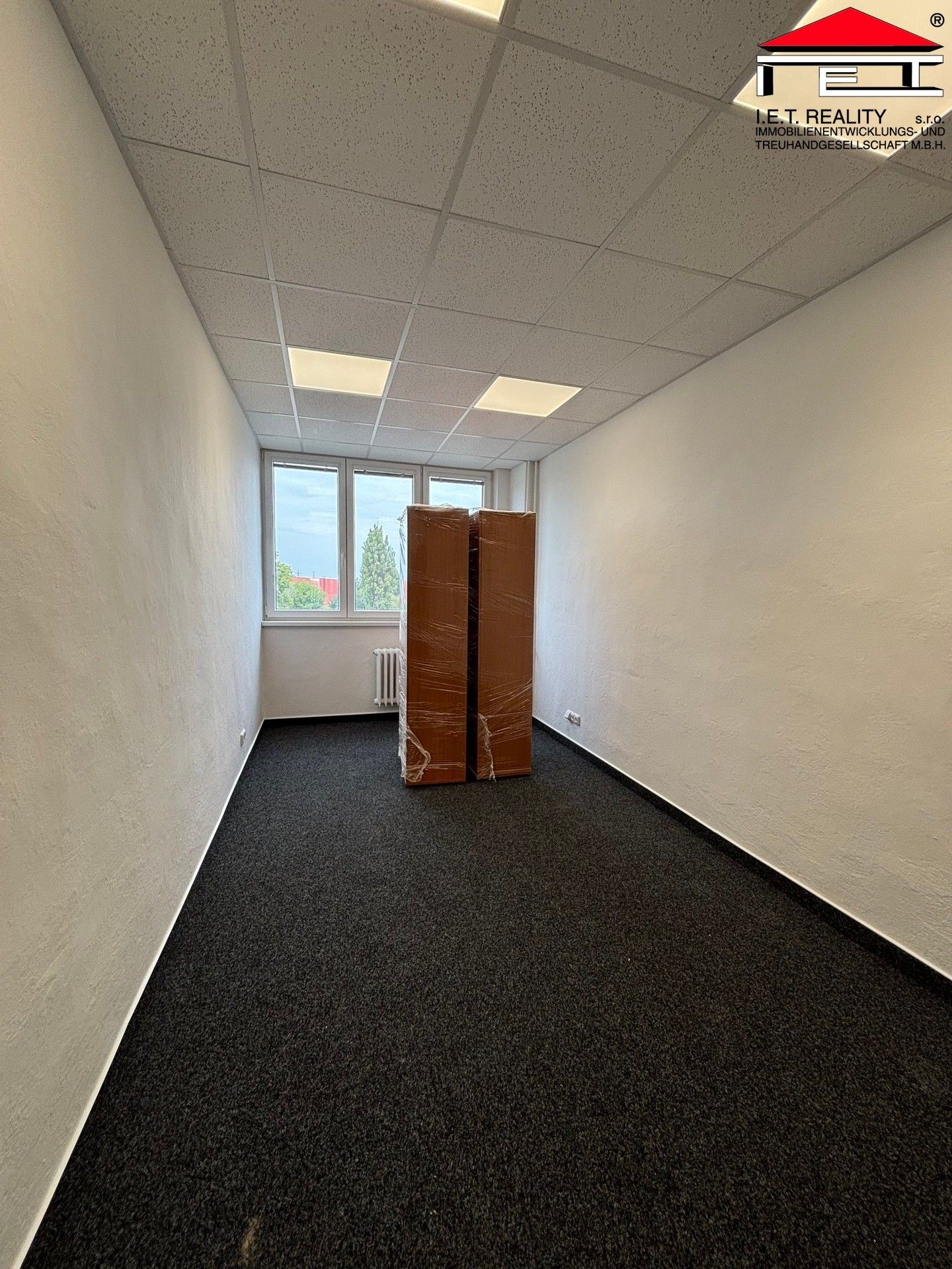 Pronájem komerčního prostoru 600 m² - foto 12