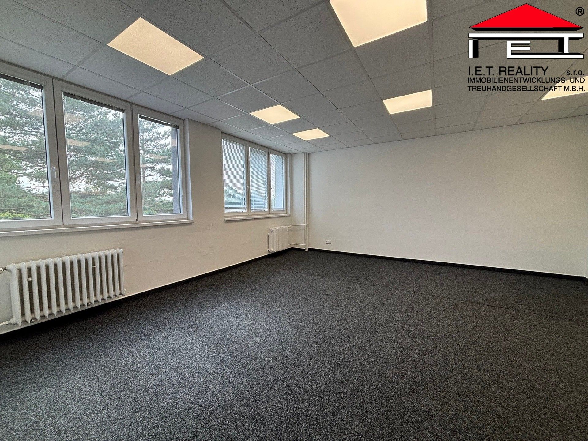 Pronájem komerčního prostoru 600 m² - foto 9
