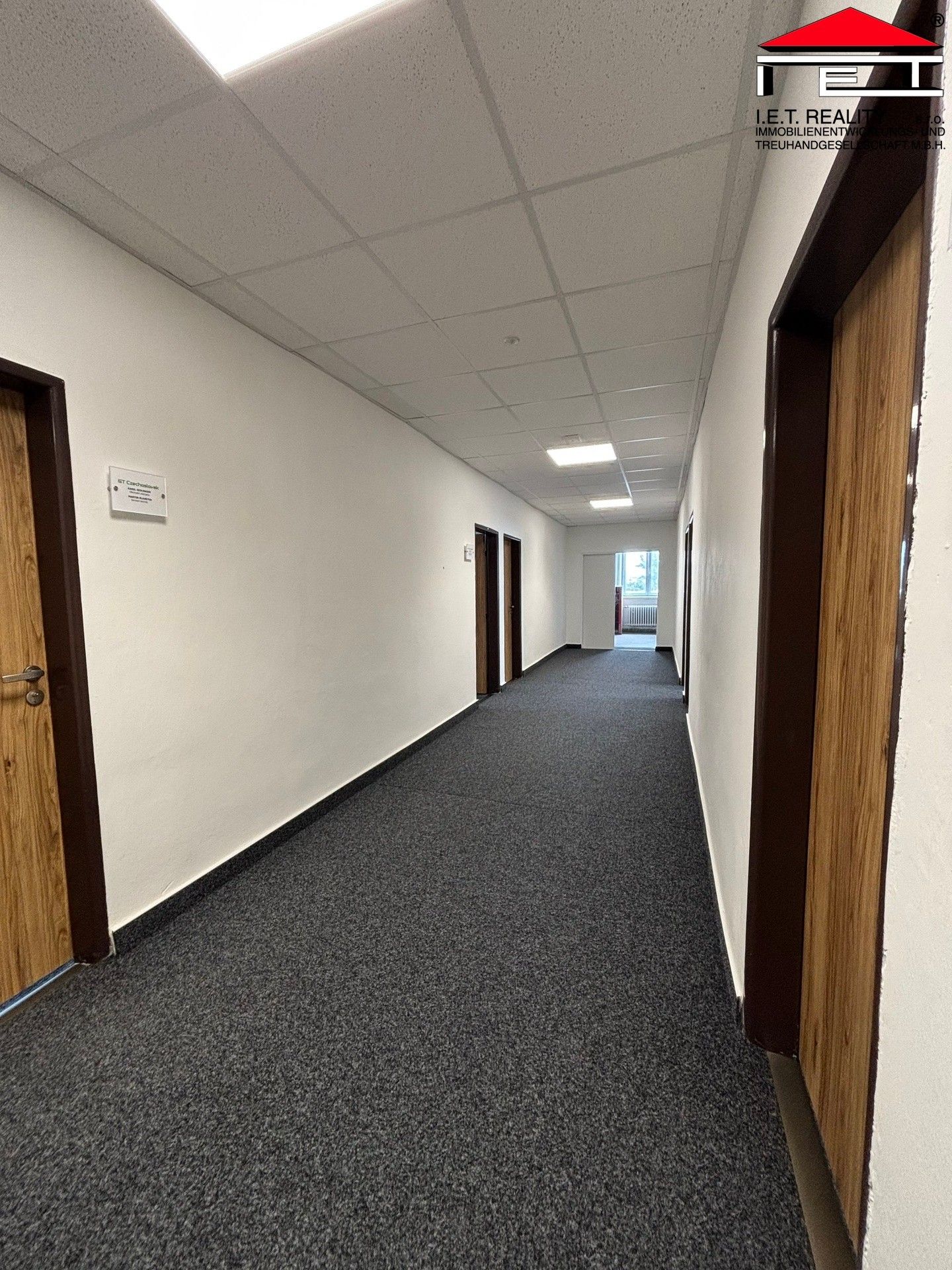 Pronájem komerčního prostoru 600 m² - foto 11