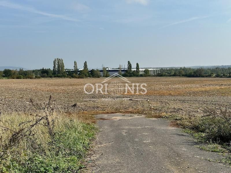 Prodej pozemku 18559 m² - foto 3