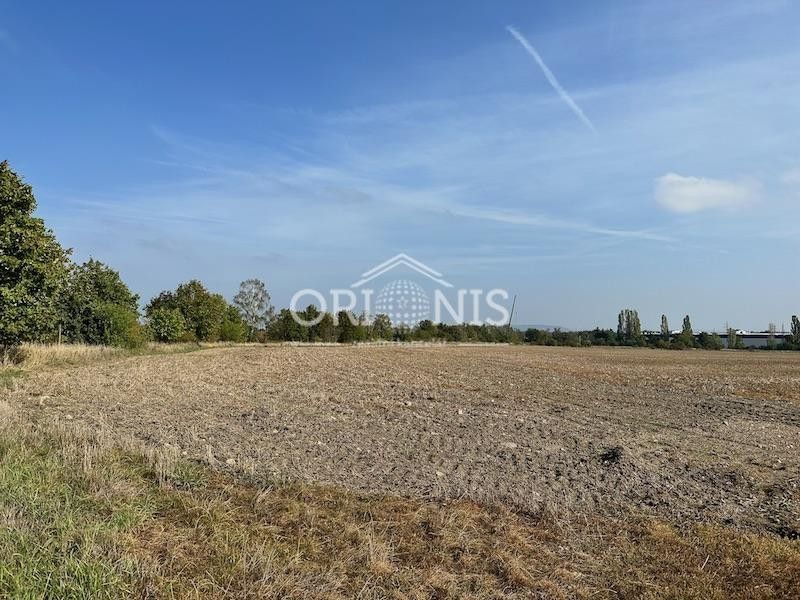 Prodej pozemku 18559 m² - foto 4