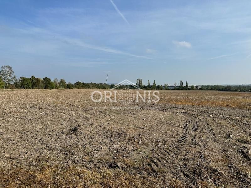 Prodej pozemku 18559 m² - foto 6