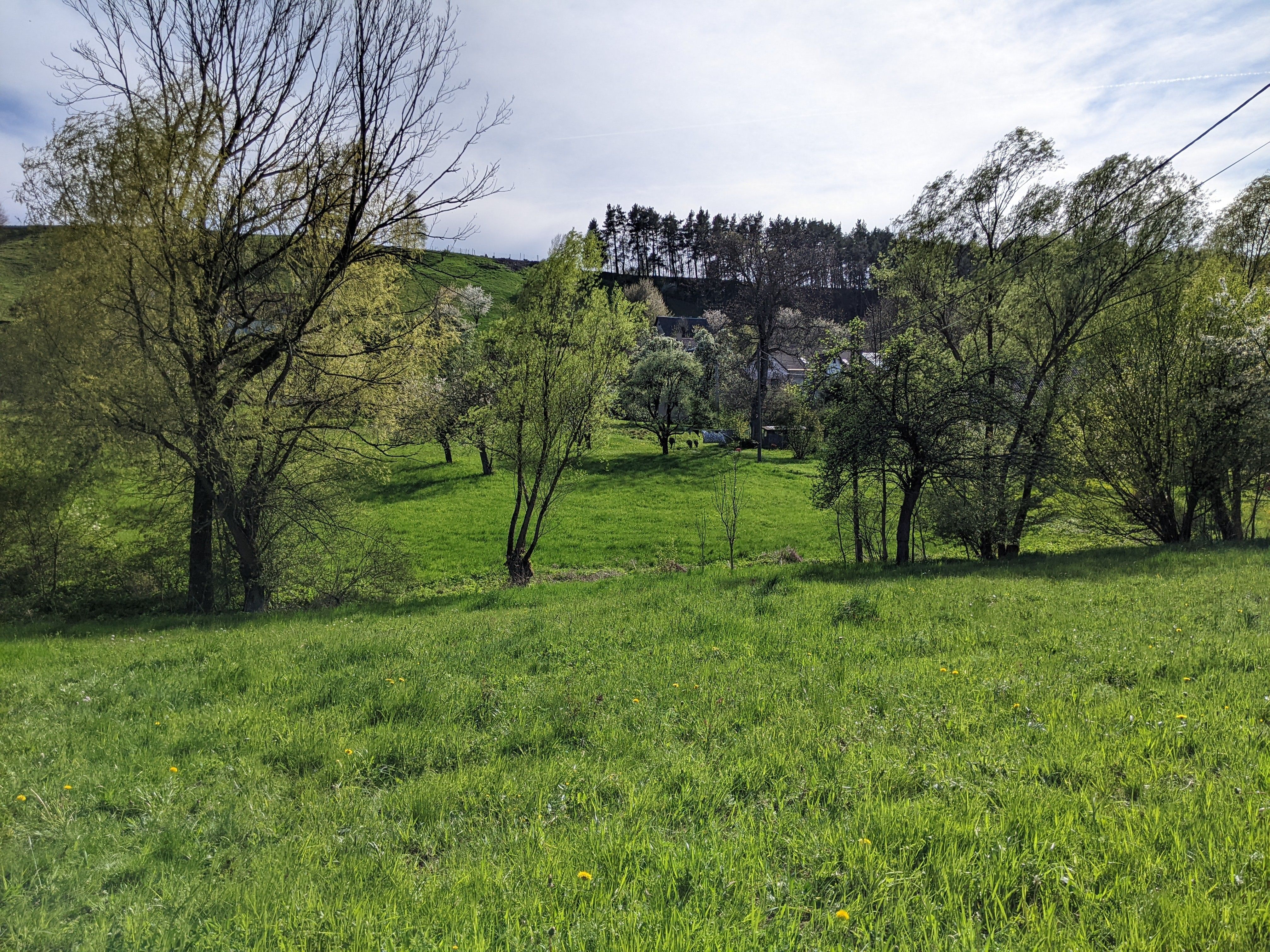Prodej pozemku 2000 m² - foto 1