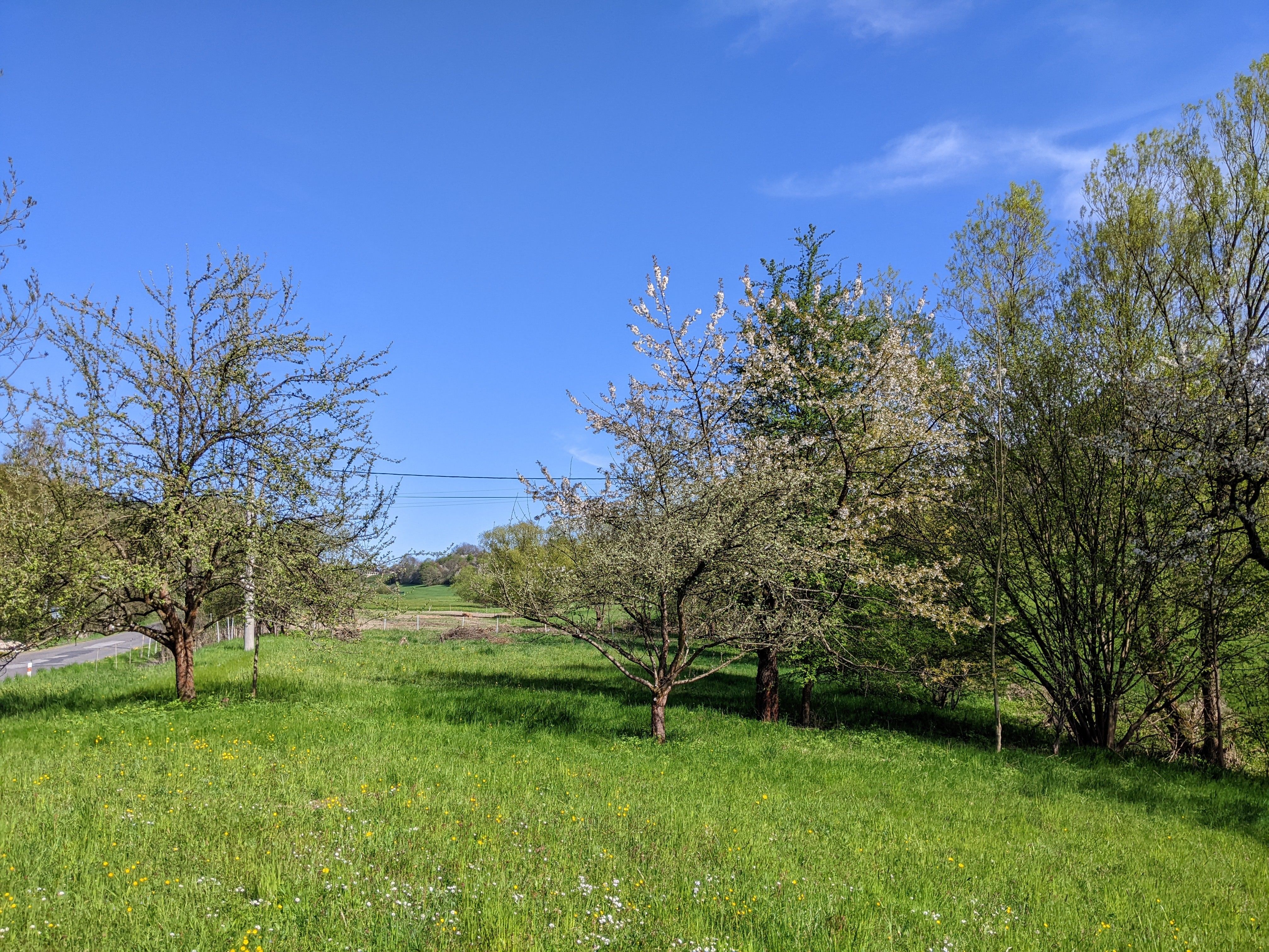 Prodej pozemku 2000 m² - foto 3