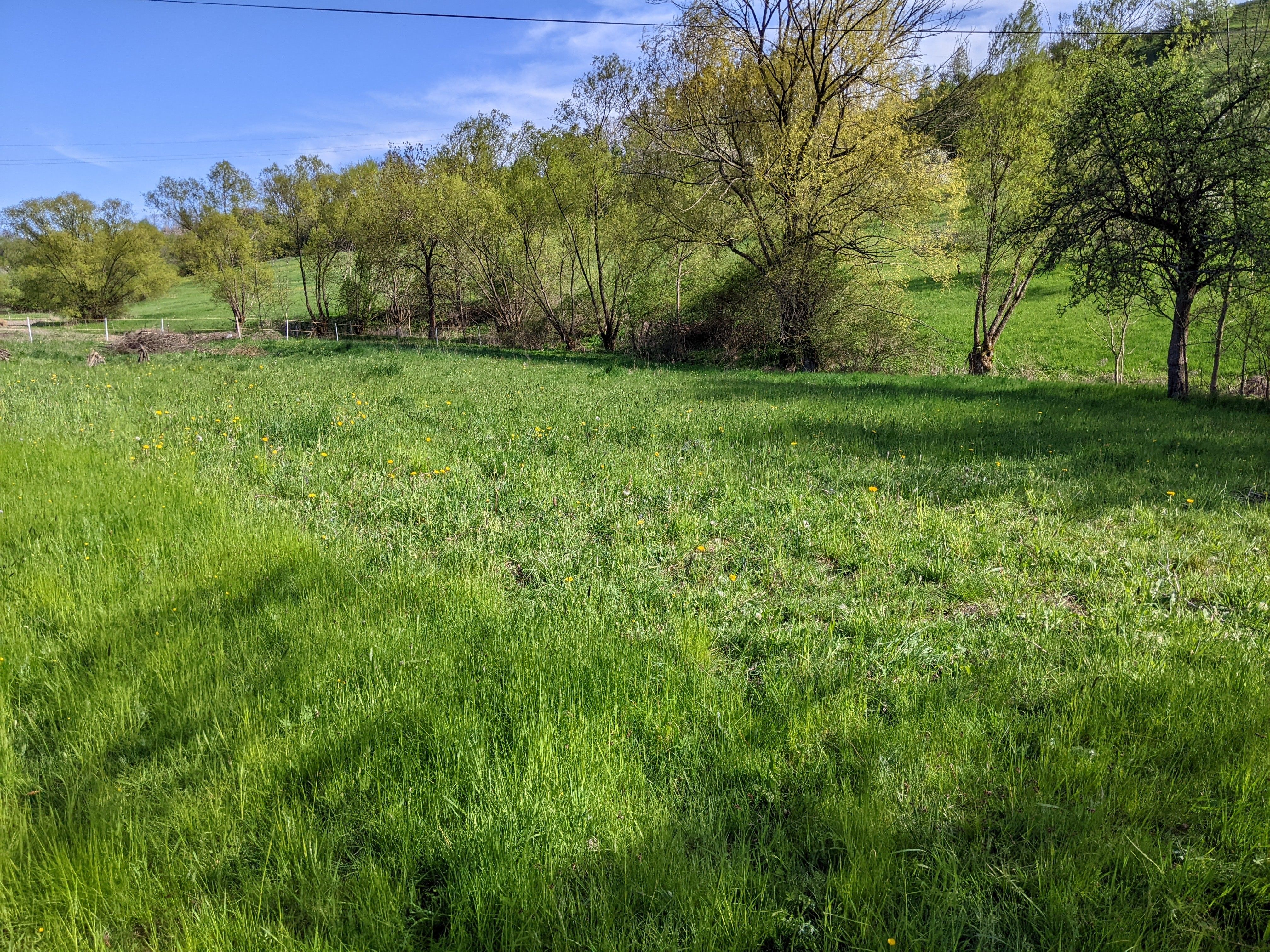 Prodej pozemku 2000 m² - foto 7