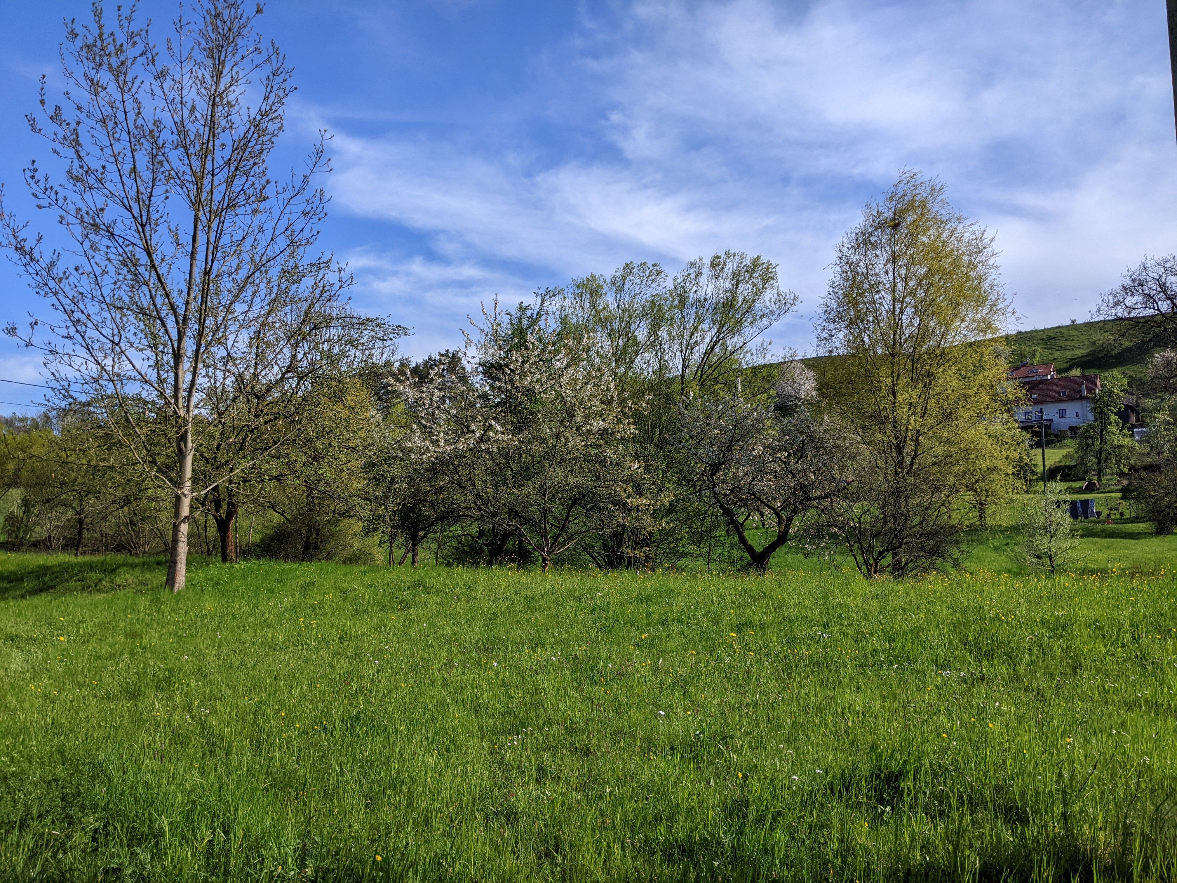 Prodej pozemku 2000 m² - foto 4