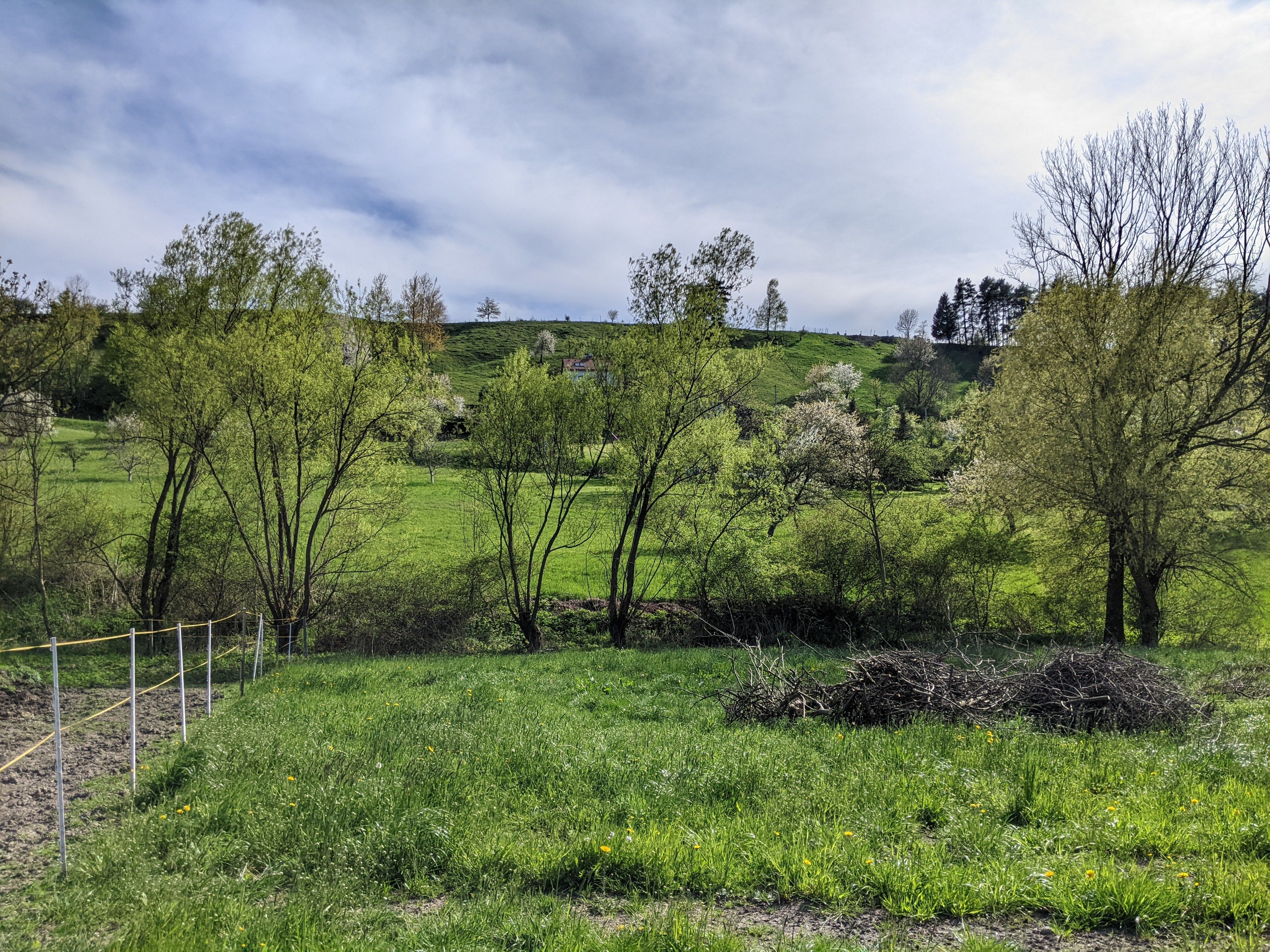 Prodej pozemku 2000 m² - foto 5