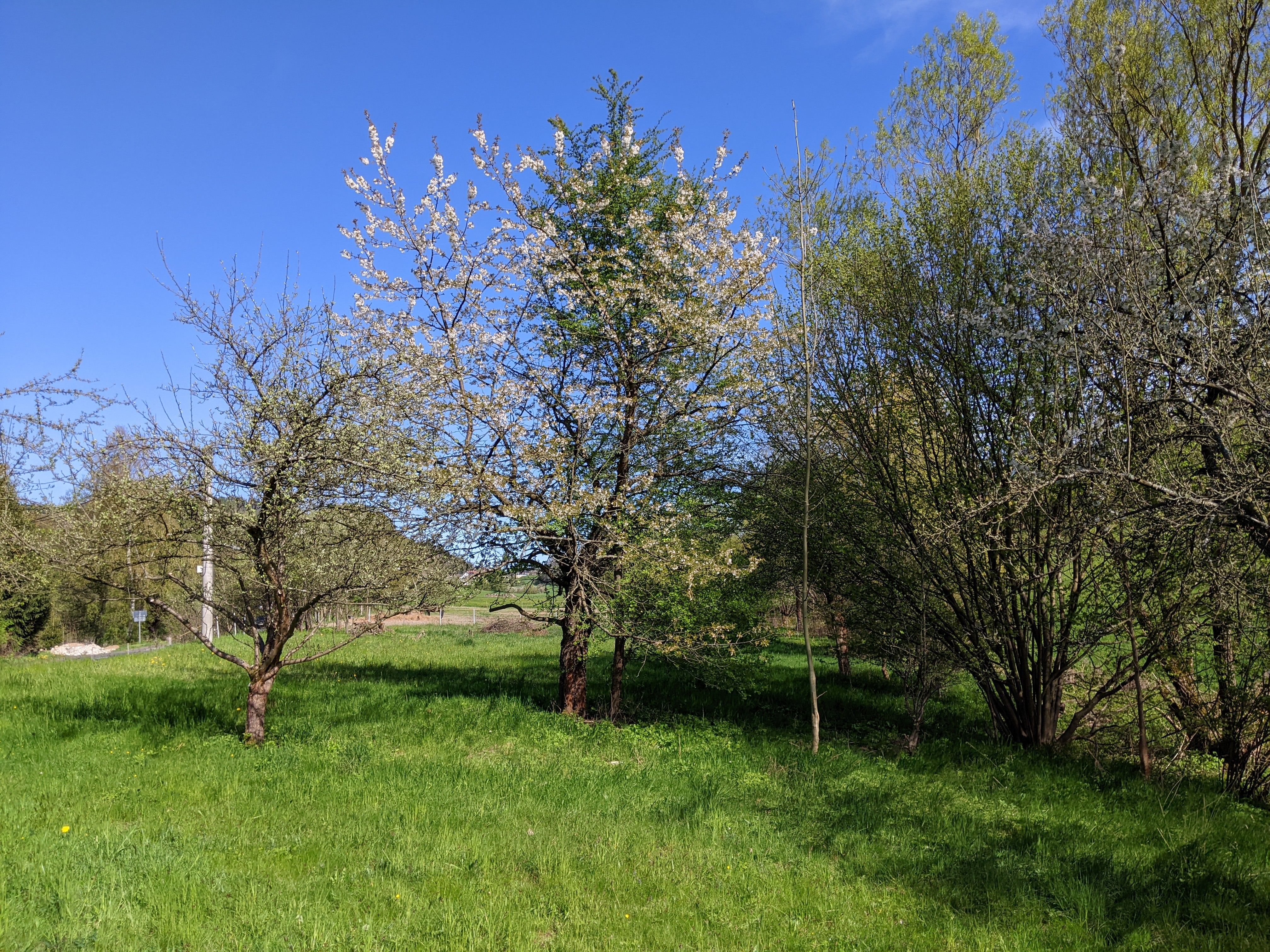 Prodej pozemku 2000 m² - foto 14