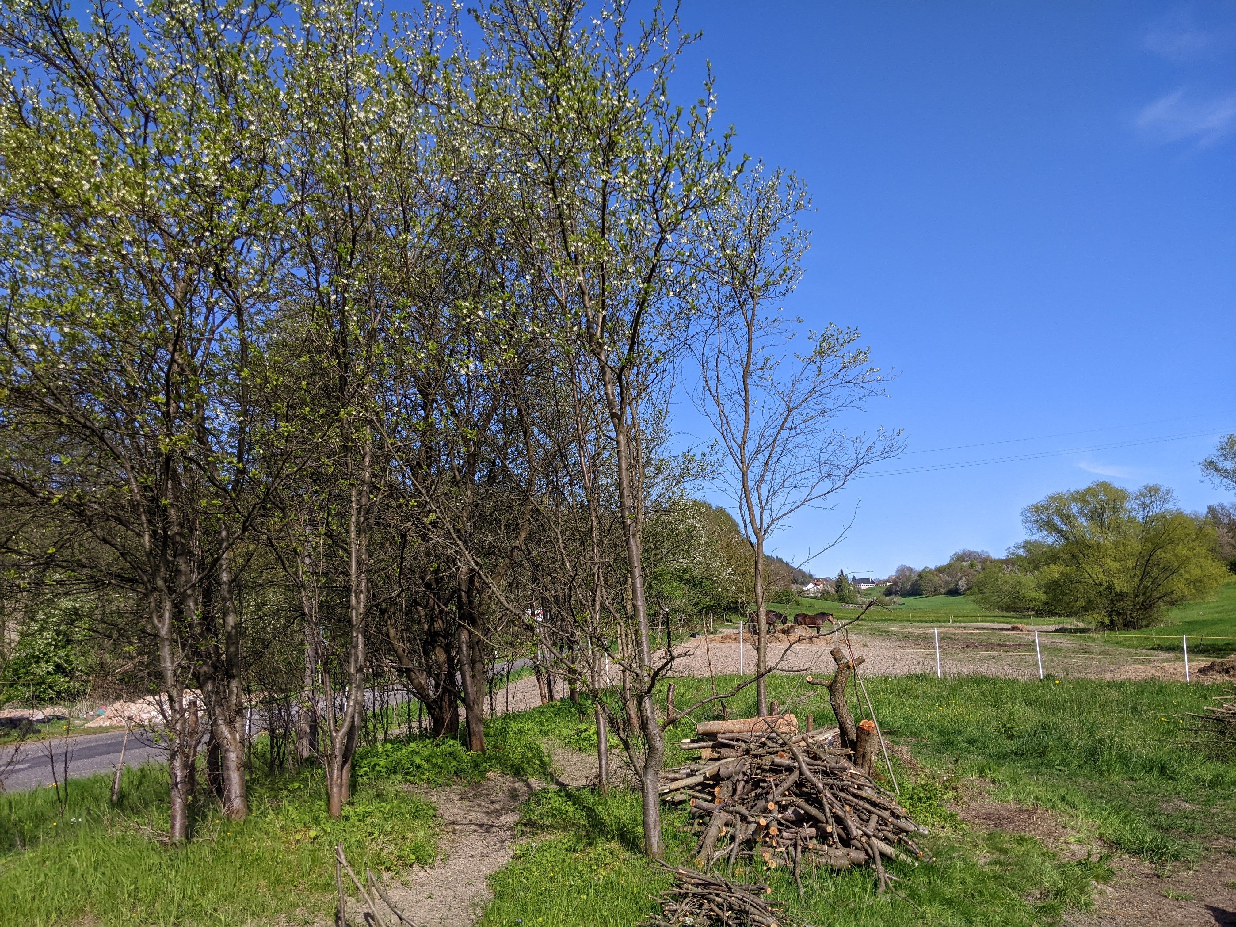 Prodej pozemku 2000 m² - foto 17