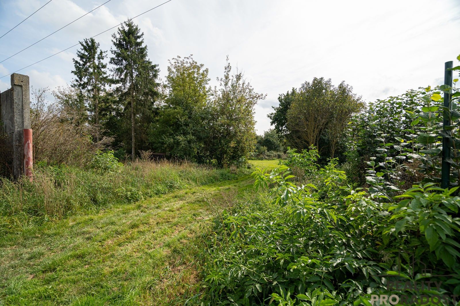 Prodej pozemku 3462 m² - foto 10