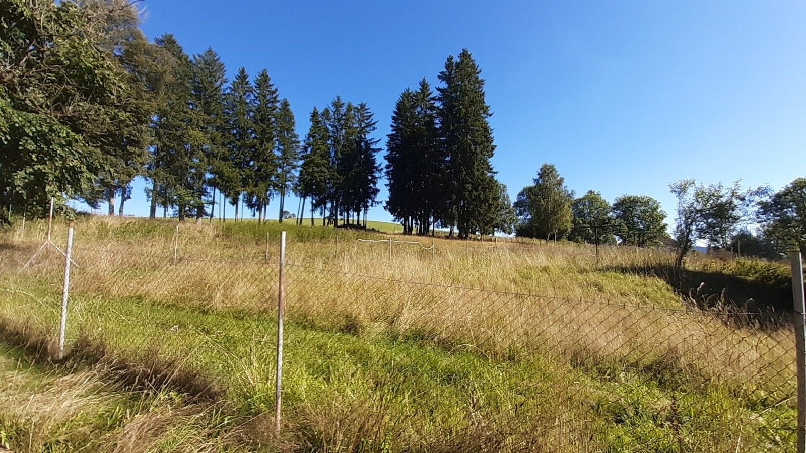 Prodej komerčního prostoru 453 m² - foto 6