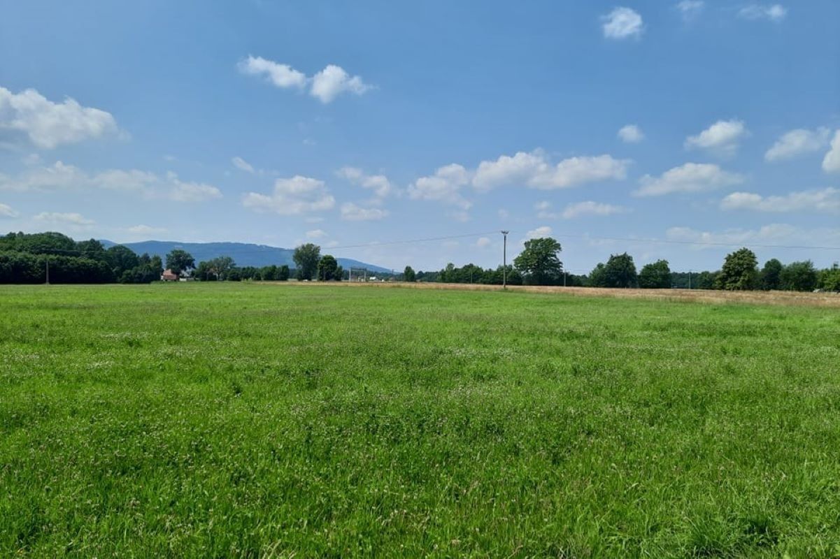 Prodej pozemku 7527 m² - foto 3