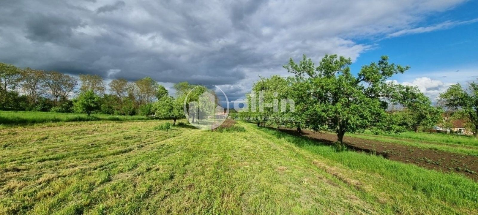 Prodej nemovitosti 1062 m² - foto 4